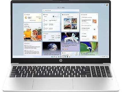 HP 255 G10 Laptop